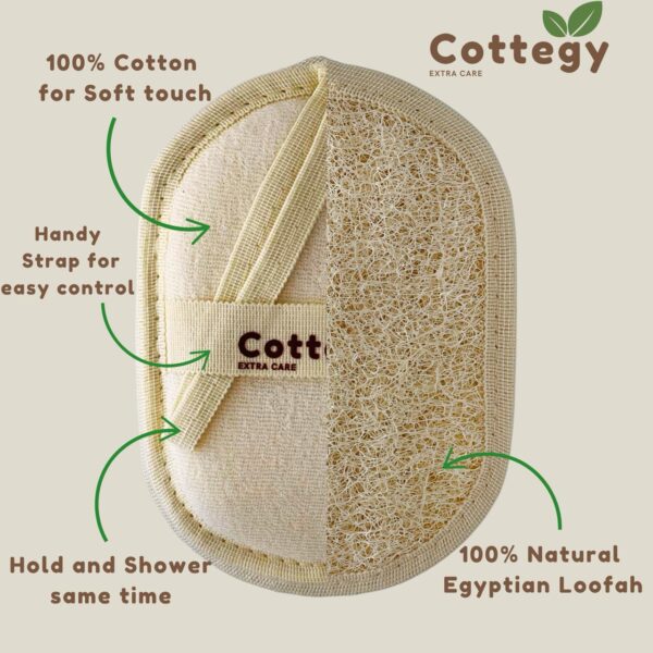Oval Loofah - Image 3