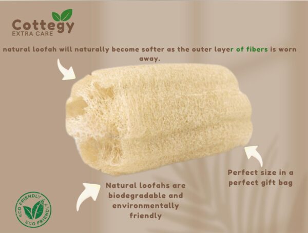 Eco-Friendly Bath (1 Count (Pack of 3) - Image 2